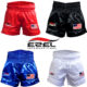 Fight-Shorts-Cover-image