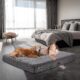 Pet's bed cover image.jpg